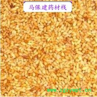 柏子仁 柏子仁精选货 产地 山东省图2