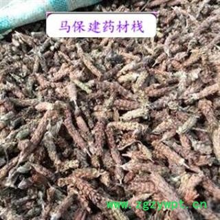 夏枯球 夏枯球净货 产地 山西省图2