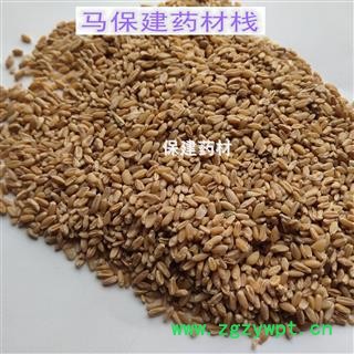 浮小麦 浮小麦净货 产地 河南省图2