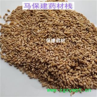浮小麦 浮小麦净货 产地 河南省图3