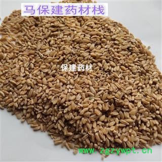 浮小麦 浮小麦净货 产地 河南省图4