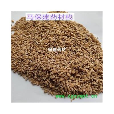 浮小麦 浮小麦净货 产地 河南省