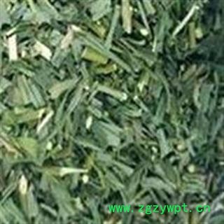 柴胡 柴胡苗 产地 青海省图2