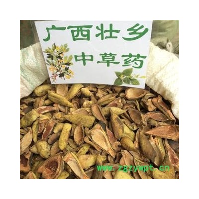 广西壮乡中草药 王不留行壳 统货 产地 广西