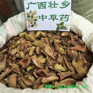 广西壮乡中草药 王不留行壳 统货 产地 广西图2