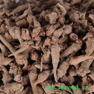 三七 三七无数头 产地 云南省图2