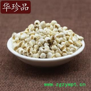 薏苡仁 08 C薏米仁98货 产地 安徽省图4