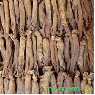 人参 无糖红参个 纯无糖 80支以上  产地 吉林省图2