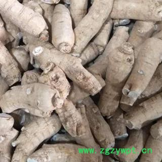 西洋参 西洋参 产地直销新货大短支西洋参个。一手货源 产地 吉林省图3