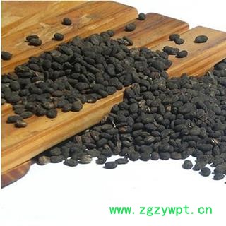 补骨脂1000克图2