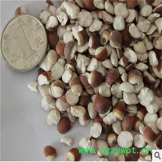 芡实 芡实米 产地 广东 振兴中药 产地直销 重在品质图4