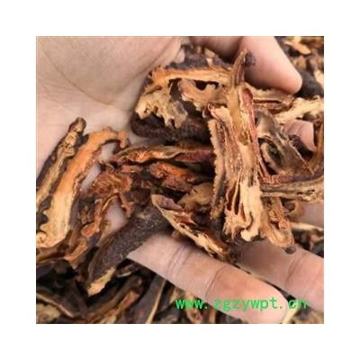 皱木瓜 皱木瓜选片 产地 四川省