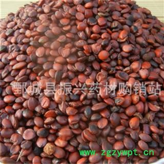 【振兴药材】中药材批发供应【酸枣仁】图2