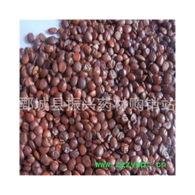 【振兴药材】中药材批发供应【酸枣仁】