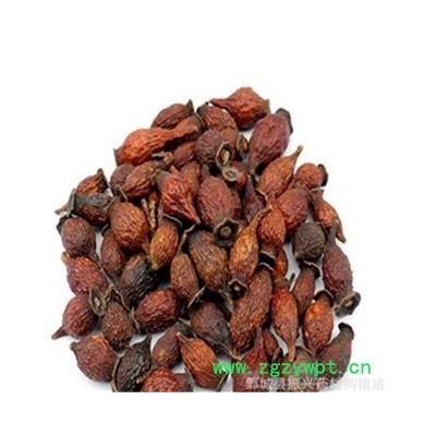 【振兴中药】批发供应中药材 【金樱子】