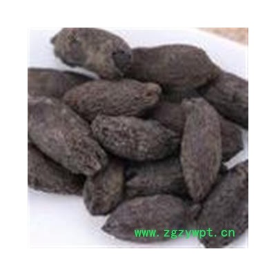 母丁香 母丁香统货 产地 广西壮族自治区