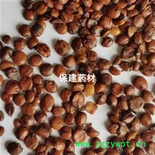 酸枣仁   炒酸枣仁95货 无增重  产地 广西壮族自治区图4