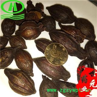 世元药业 焦栀子 栀子炭 红栀子 选装原货加工图2