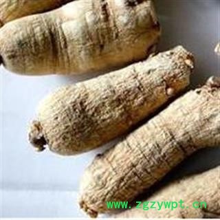 西洋参 短支10-20g 产地 吉林省图2