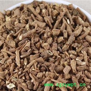 柴胡 藏柴胡大统段 产地 甘肃省图2