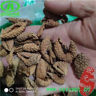 世元药业 荔枝壳 荔枝皮 荔枝果皮 荔壳图2