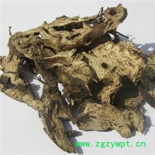 升麻 大统 产地 河北省图2