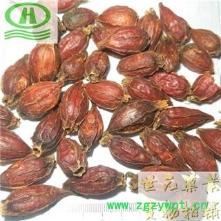 世元药业 栀子 新货 福建 枝子图2