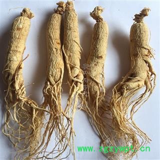 人参 生晒参38支标准无硫原皮参 生晒参 产地 吉林省图2