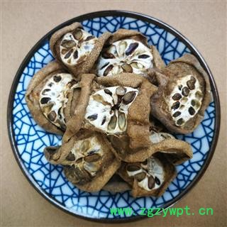 预知子八月瓜无硫新货 统 产地 陕西省秦岭山区图4