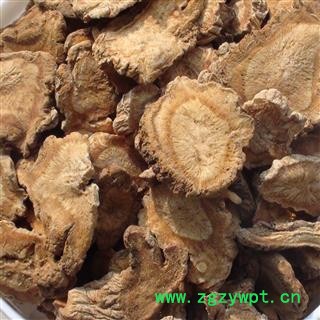 防风 秧播防风大选片1.2 颜色好 产地 河北省图2