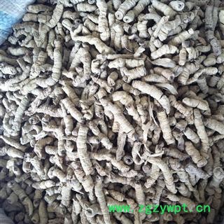 巴戟 巴戟肉三级个0.4 产地 广东省图2