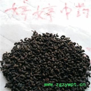 制女贞子 鸡腰型女贞子 纯净货素无色素纯天然包化验 产地江苏省无锡市江阴市图2