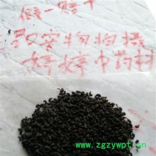 制女贞子 鸡腰型女贞子 纯净货素无色素纯天然包化验 产地江苏省无锡市江阴市图3