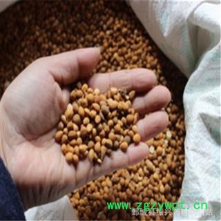 振兴药材批发供应 中药材料 郁李仁|李仁肉图4