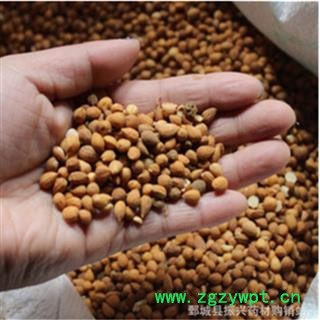 振兴药材批发供应 中药材料 郁李仁|李仁肉图3