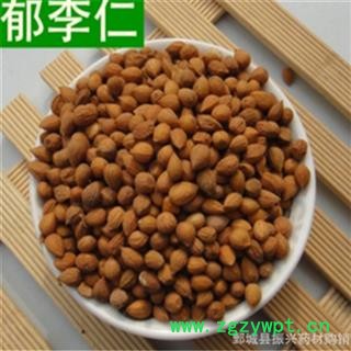振兴药材批发供应 中药材料 郁李仁|李仁肉图2