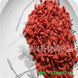 枸杞 新疆枸杞290粒 产地 新疆 振兴中药 产地直销 重在品质图2