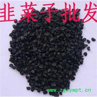 韭菜子【振兴药材】 韭菜子统货 产地 安徽省图4