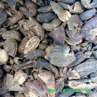 诃子 诃子肉统货 产地 云南省图4