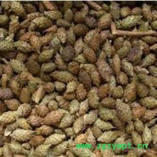 苍耳子 统货 产地 山东省东营市利津县 产地直供 支持线上保障交易 安徽省冰源堂药业经营品3000余种中药材【冷背中药材】图2