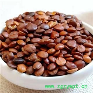 酸枣仁 统货 产地 海外印尼图4