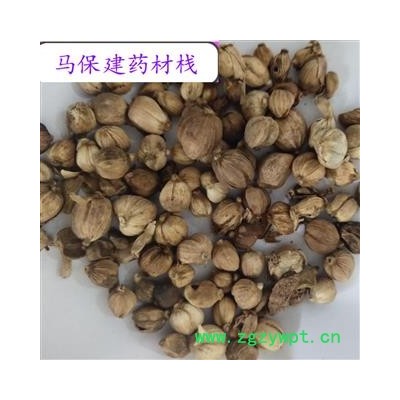 白豆蔻 白豆蔻选货 产地 广西壮族自治区