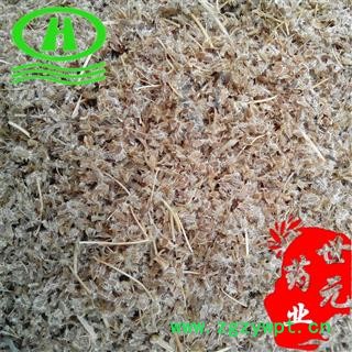 世元药业 鹤虱 正品 鹄虱 鬼虱 北鹤虱图2