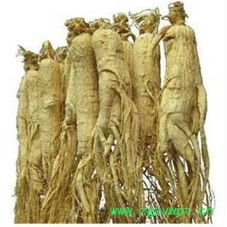 生晒参45支选货 全干 无硫磺 质量好 价格低 产地 吉林省图2