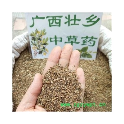 广西壮乡中草药 种植 大籽 统货 蛇床子