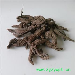 红大戟 精品红大戟选货 产地 海外图2