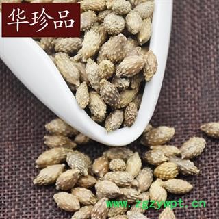 华珍品中药材超市 苍耳子 01 苍耳子 选 产地 黑龙江省图2