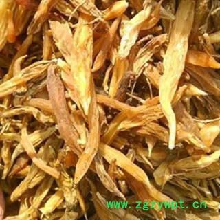 天冬个 天冬统货 广西壮族自治区图2