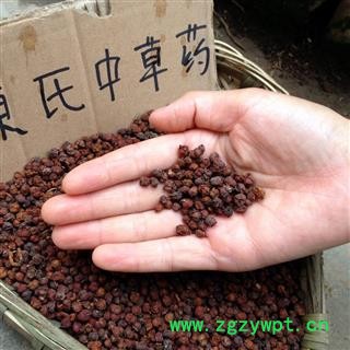 西五味子 南五味子好货 产地 陕西省秦岭山区图3