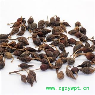 连翘 青翘生晒统货 产地 陕西省秦岭山区图2